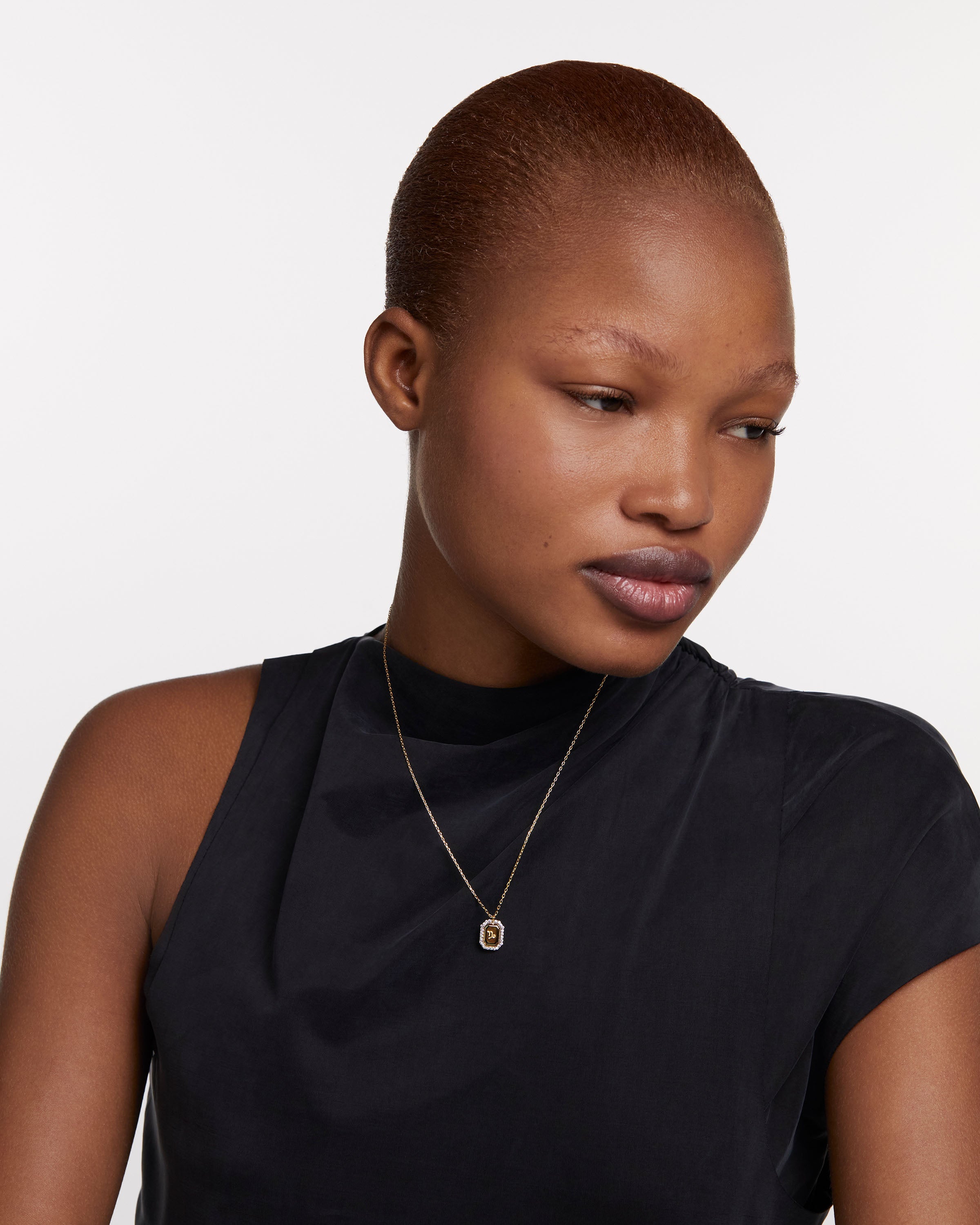 Colier din Argint placat cu Aur cu Zirconiu Zodia Capricorn - 2