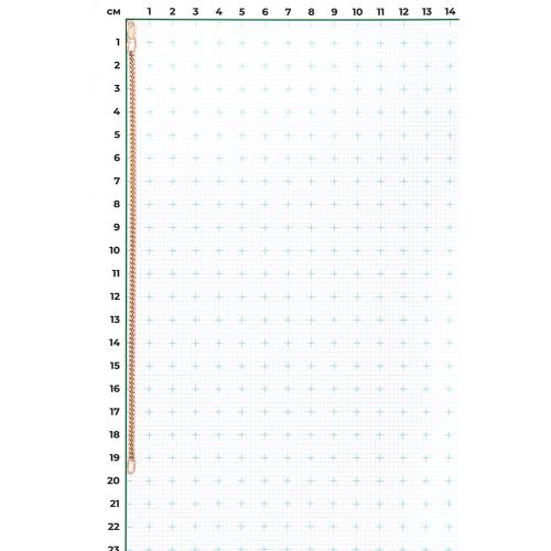 Bratara Aur Roz 14K - 2