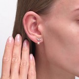 Cercei din Aur Roz 14K cu Zirconiu, articol 029321, previzualizare video 2